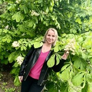 ���������� �����, ���� ������� ��������, 53 ����, ������������ ��� ����� � ���������, c�������� ���������