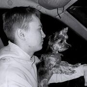 ���������� ������������, ���� ����� ����, 22 ����, ������������ ��� ������, ����� � ���������