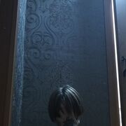  ,   , 24 ,   ,   