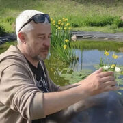 ���������� ����, ���� ������� ��, 48 ���, ������������ ��� ������, ����� � ���������, c�������� ���������, ���������