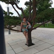 ���������� ���������, ���� ������� �������, 66 ���, ������������ ��� ������, ����� � ���������