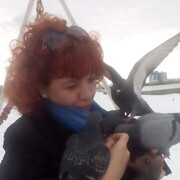 ���������� ��������, ���� ������� �����, 45 ���, ������������ ��� ����� � ���������, c�������� ���������