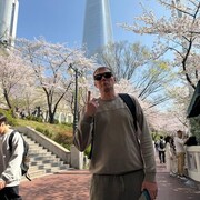 ���������� �����������, ���� ������� �������, 41 ���, ������������ ��� ������, ����� � ���������