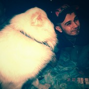 ���������� ������, ���� ������� �����, 38 ���, ������������ ��� ������, ����� � ���������, c�������� ���������