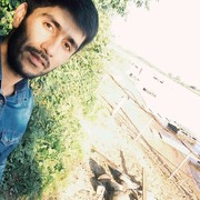 ���������� �����, ���� ������� Siyovush, 33 ����, ������������ ��� ������, ����� � ���������, c�������� ���������