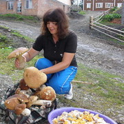 ���������� ���������, ���� ������� �������, 52 ����, ������������ ��� ����� � ���������, c�������� ���������