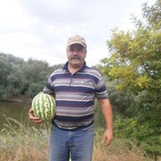  ,   Fiodor57, 67 ,   ,   , c , 