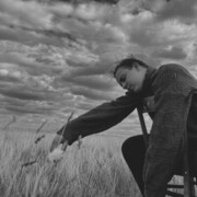 ���������� ��������, ���� ����� �������, 24 ����, ������������ ��� ����� � ���������, c�������� ���������