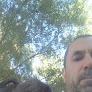  --,   , 58 ,   ,   , c 