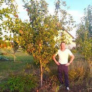 ���������� ������, ���� ������� �������, 38 ���, ������������ ��� ������, ����� � ���������