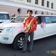  ,   Daler, 42 ,   ,   , c 