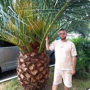  ,   , 35 ,   ,   