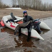 ���������� ���������, ���� ������� �������, 38 ���, ������������ ��� ������, ����� � ���������