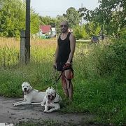 ���������� ������, ���� ������� Igor, 45 ���, ������������ ��� ������, ����� � ���������