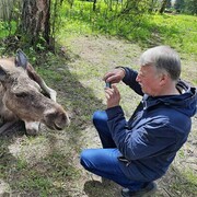 ���������� ���������, ���� ������� ���������, 69 ���, ������������ ��� ������, ����� � ���������