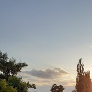  ,   , 38 ,   ,   , c 