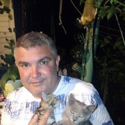 ���������� �������, ���� ������� �������, 49 ���, ������������ ��� ������, ����� � ���������, c�������� ���������