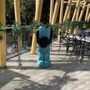 ���������� ������ ����� ������, ������� ����, 39