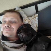 ���������� �����, ���� ������� ������������, 41 ���, ������������ ��� ������, ���������