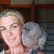  ,   , 41 ,   ,   
