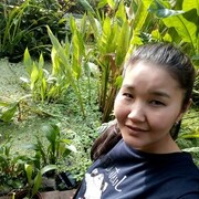 ���������� �������, ���� ������� �����, 39 ���, ������������ ��� ����� � ���������, c�������� ���������