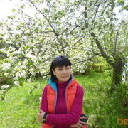  ,   , 44 ,     , c 