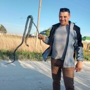  --,   , 40 ,   ,   , c 