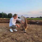 ���������� �����������, ���� ������� NiNa, 44 ����, ������������ ��� ������, ����� � ���������, c�������� ���������, ���������