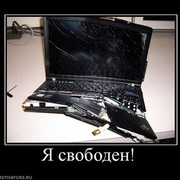  ,   Optimus, 38 ,   ,   , c 