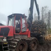 ���������� ������������, ���� ������� ����, 39 ���, ������������ ��� ����� � ���������