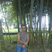  ,   Donroin, 50 ,   ,   , c , 
