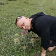  ,   , 41 ,   ,   
