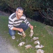  ,   Solomon, 50 ,   ,   , c 