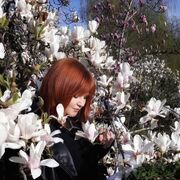 ���������� ����, ���� ������� �����, 38 ���, ������������ ��� ������, ����� � ���������, c�������� ���������