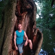 ���������� �����������, ���� ������� ���������, 43 ����, ������������ ��� ����� � ���������, c�������� ���������