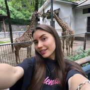 ���������� ������������, �����