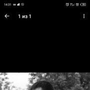  ,  , 37