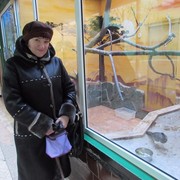 ���������� ����, ���� ������� ������, 60 ���, ������������ ��� ������, ����� � ���������, c�������� ���������