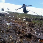  ,   Khan, 39 ,     , c 