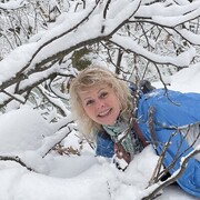 ���������� ������, ���� ������� �����, 62 ����, ������������ ��� ������, ����� � ���������, c�������� ���������