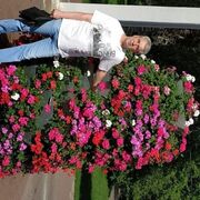  ,   Alexander, 60 ,     , c 
