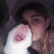 ���������� ����������, ���������