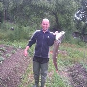  ,   , 52 ,   