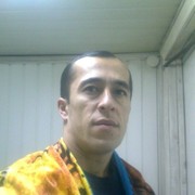  -,   , 41 ,   