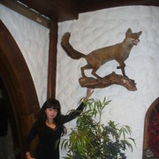 ���������� ���������� �����, ���� ������� �����, 36 ���, ������������ 