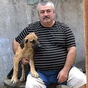 ���������� ������, ���� ������� �����, 60 ���, ������������ ��� ������, ����� � ���������