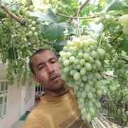 ���������� ������� �����, ���� ������� ��������, 38 ���, ������������ ��� ������, ����� � ���������, c�������� ���������