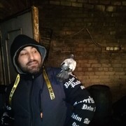 ���������� ������ ��������, ���� ������� �����, 37 ���, ������������ ��� ������, ����� � ���������