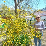  ,   , 55 ,   ,   , c 