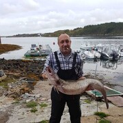  Kassel,   , 46 ,   ,   